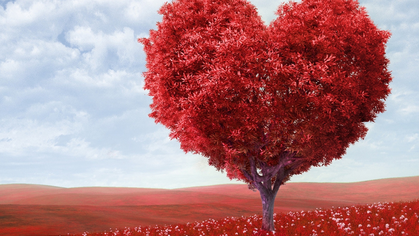 Fondo de pantalla Heart Tree 1600x900