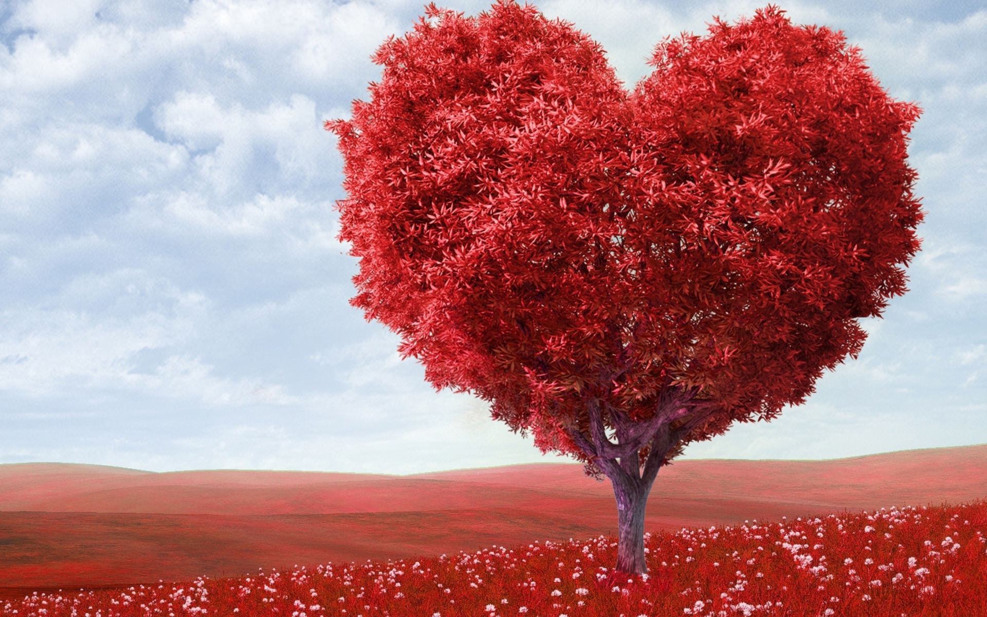 Sfondi Heart Tree 1920x1200