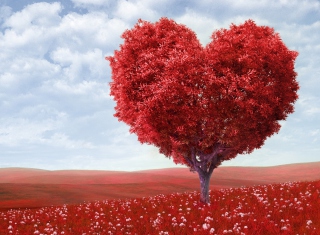 Heart Tree Background for Android, iPhone and iPad