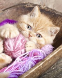 Sfondi Cute Kitten Playing With A Ball Of Yarn 128x160