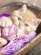 Das Cute Kitten Playing With A Ball Of Yarn Wallpaper 132x176