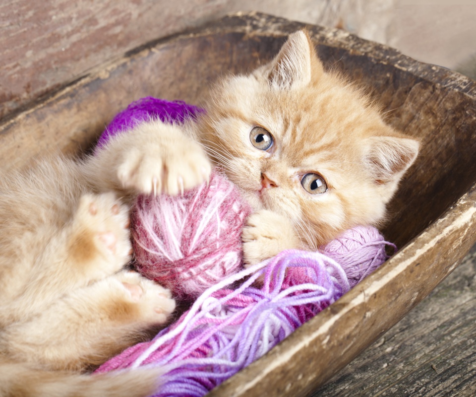 Fondo de pantalla Cute Kitten Playing With A Ball Of Yarn 960x800