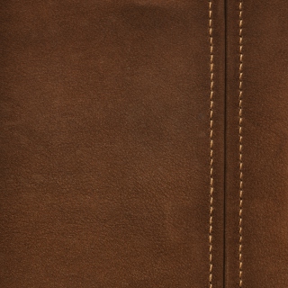 Brown Leather with Seam - Obrázkek zdarma pro 208x208