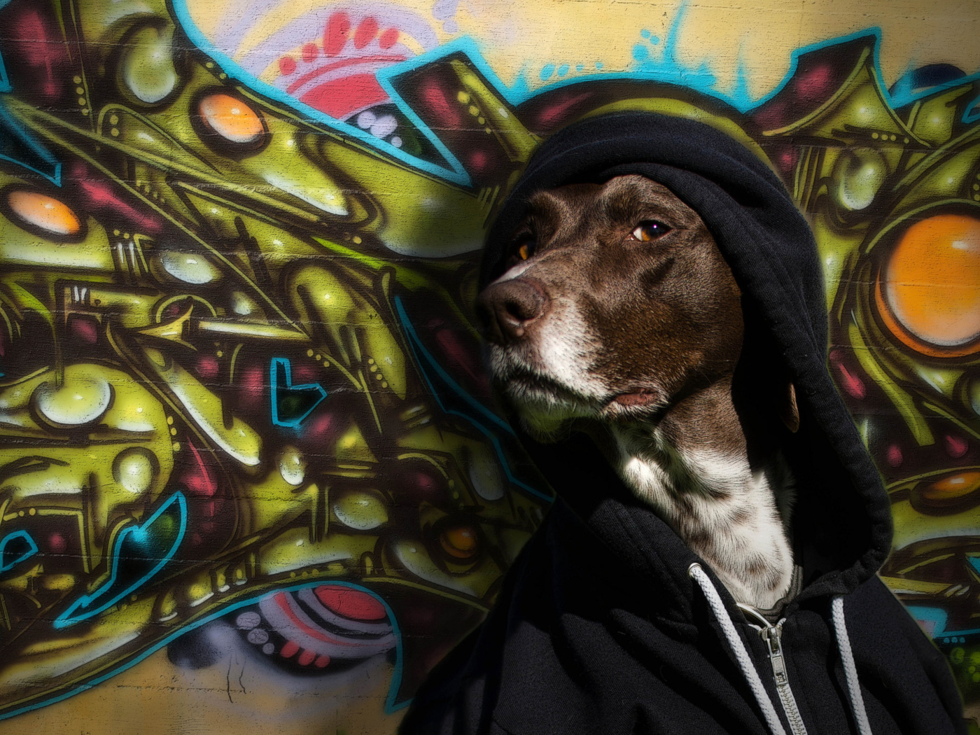 Screenshot №1 pro téma Portrait Of Dog On Graffiti Wall 1400x1050