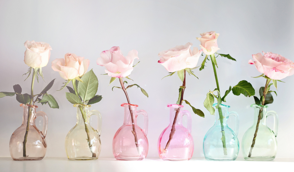 Fondo de pantalla Roses In Vases 1024x600