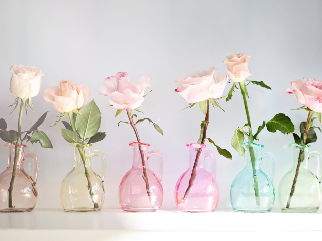 Das Roses In Vases Wallpaper 640x480