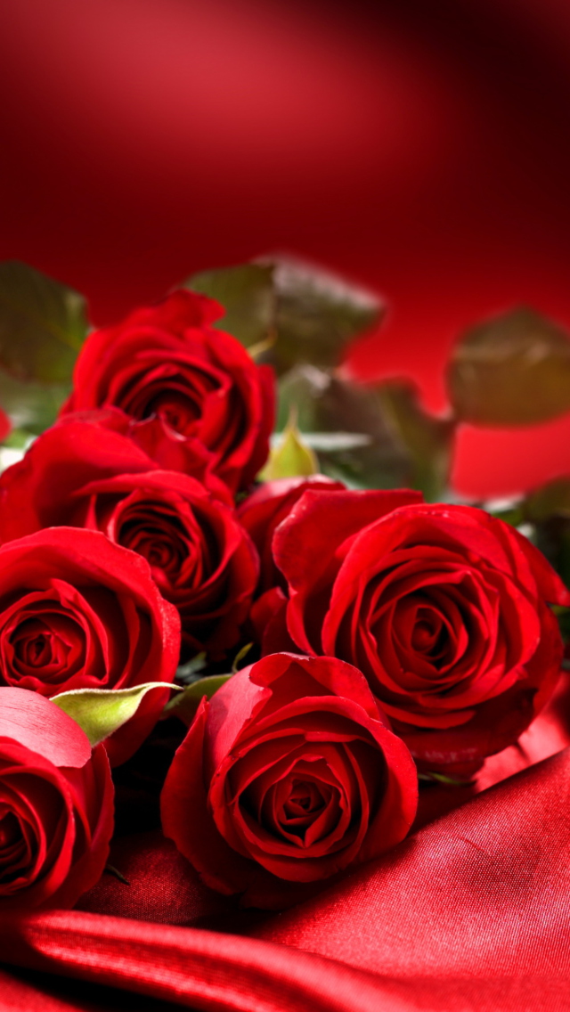 Sfondi Roses 640x1136