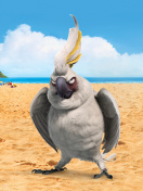 Das Nigel Parrot From Rio Wallpaper 132x176