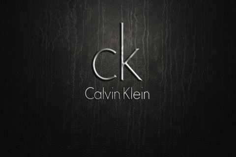 Calvin Klein Logo wallpaper 480x320