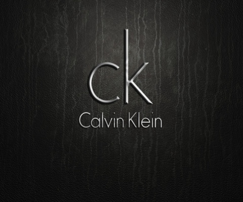 Calvin Klein Logo wallpaper 480x400