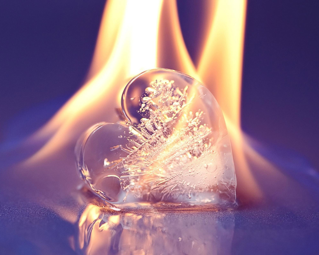 Обои Ice heart in fire 1280x1024