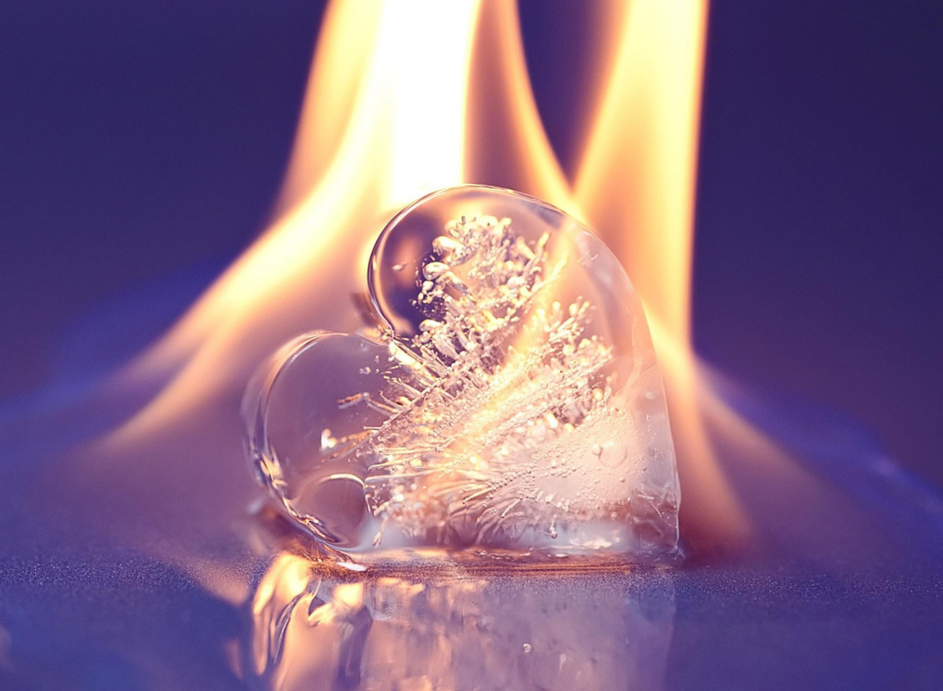 Das Ice heart in fire Wallpaper 1920x1408