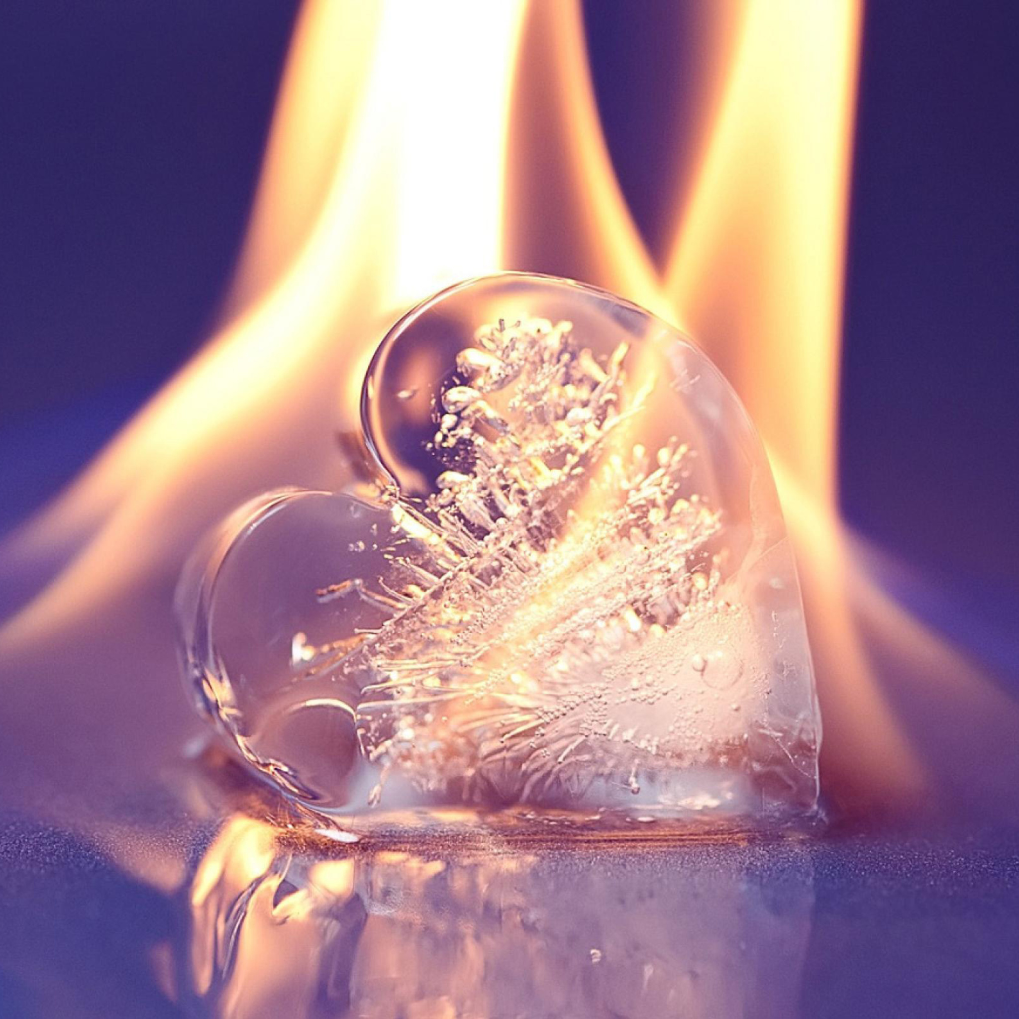 Fondo de pantalla Ice heart in fire 2048x2048