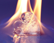 Обои Ice heart in fire 220x176
