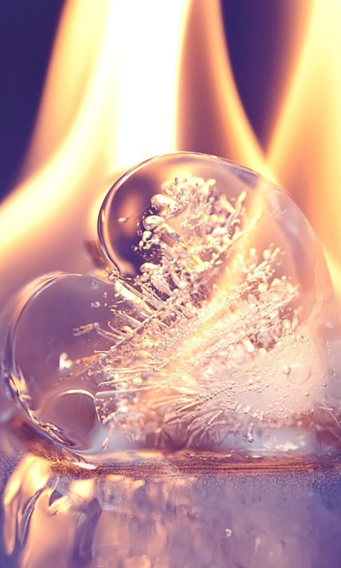 Ice heart in fire wallpaper 480x800