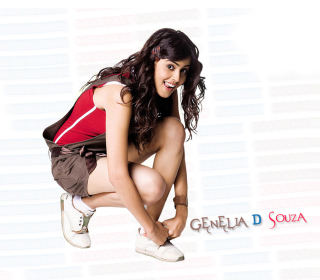 Genelia D'Souza - Fondos de pantalla gratis para 1024x1024