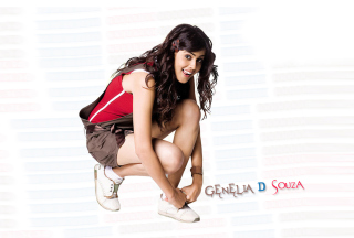 Genelia D'Souza - Obrázkek zdarma pro HTC One