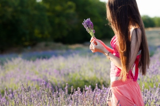 Kostenloses Girl With Field Flowers Wallpaper für Android, iPhone und iPad