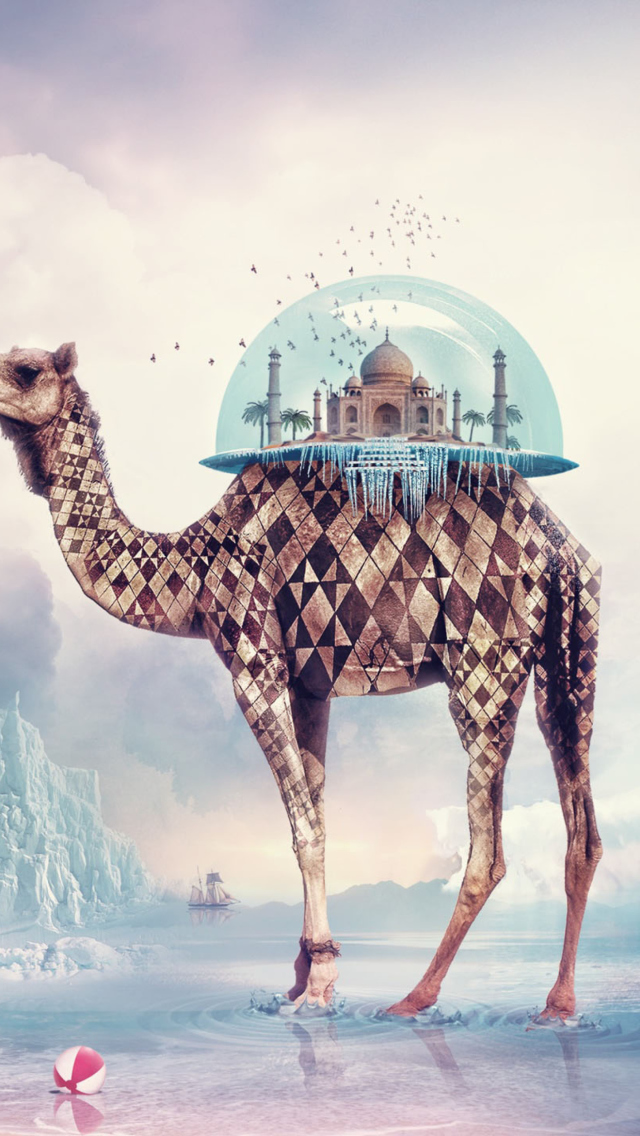 Magical Camel screenshot #1 640x1136