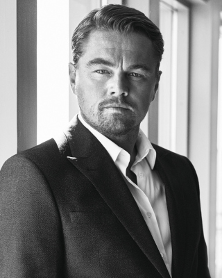Leonardo DiCaprio Celebuzz Photo - Obrázkek zdarma pro 480x640