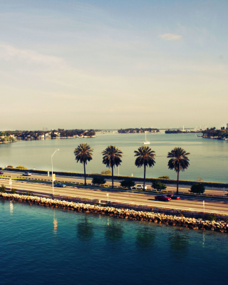 Miami Beach - Obrázkek zdarma pro iPhone 5C