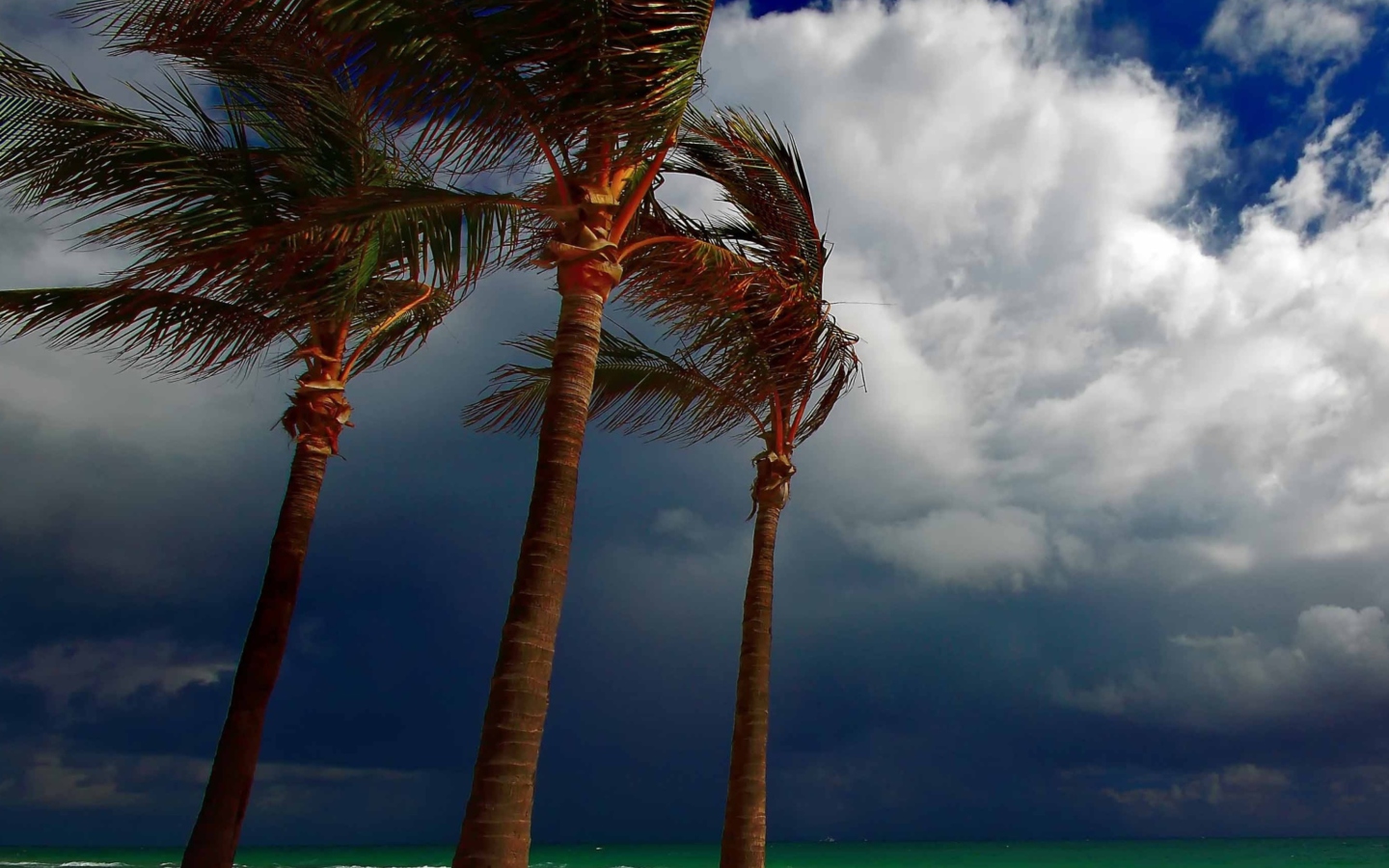 Beach Ani Villas, Anguilla wallpaper 1440x900