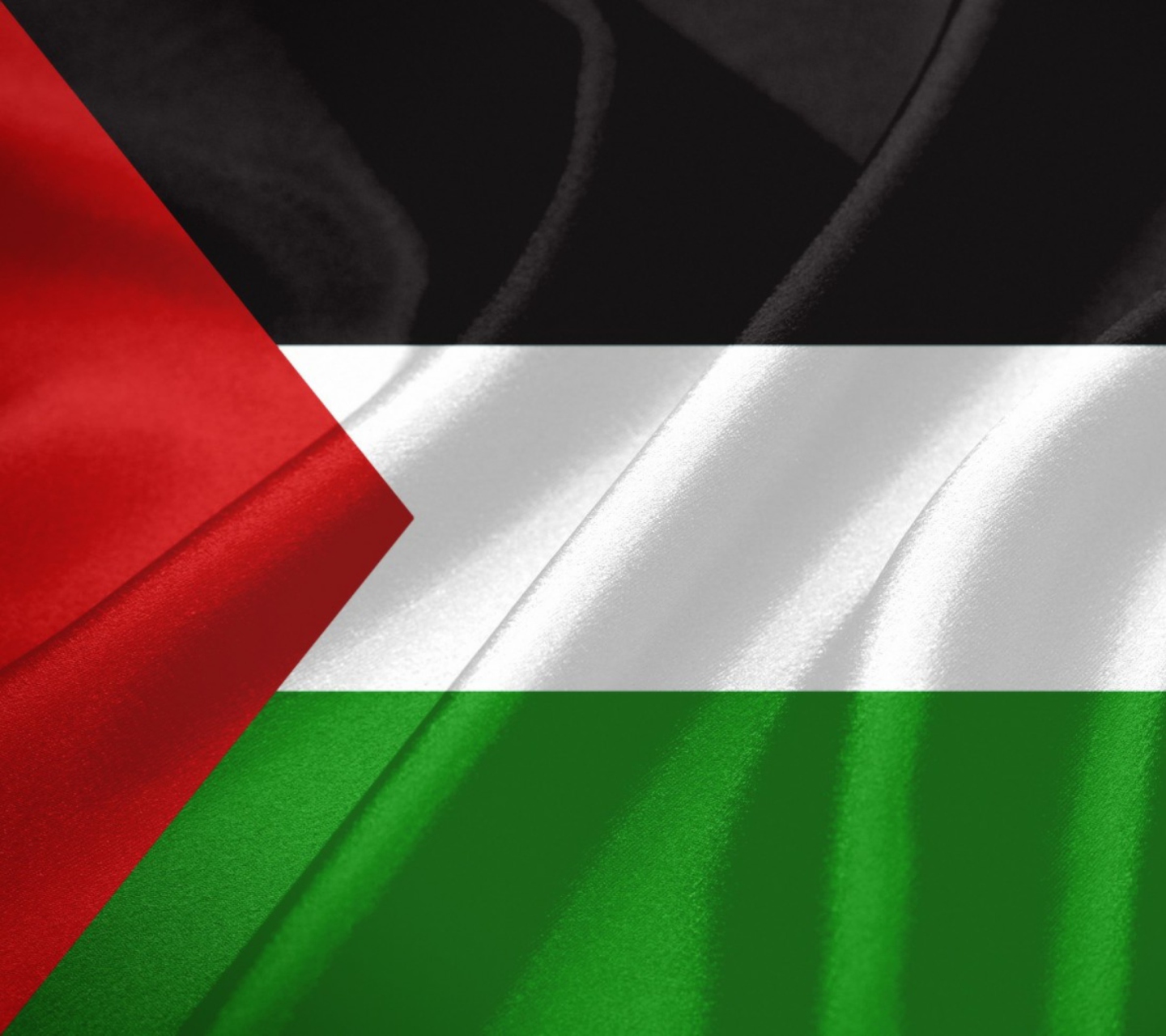 Обои Palestinian flag 1440x1280