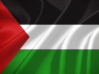 Screenshot №1 pro téma Palestinian flag 320x240
