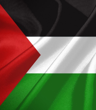 Palestinian flag - Obrázkek zdarma pro Nokia X3