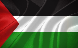 Palestinian flag - Obrázkek zdarma pro Desktop Netbook 1366x768 HD