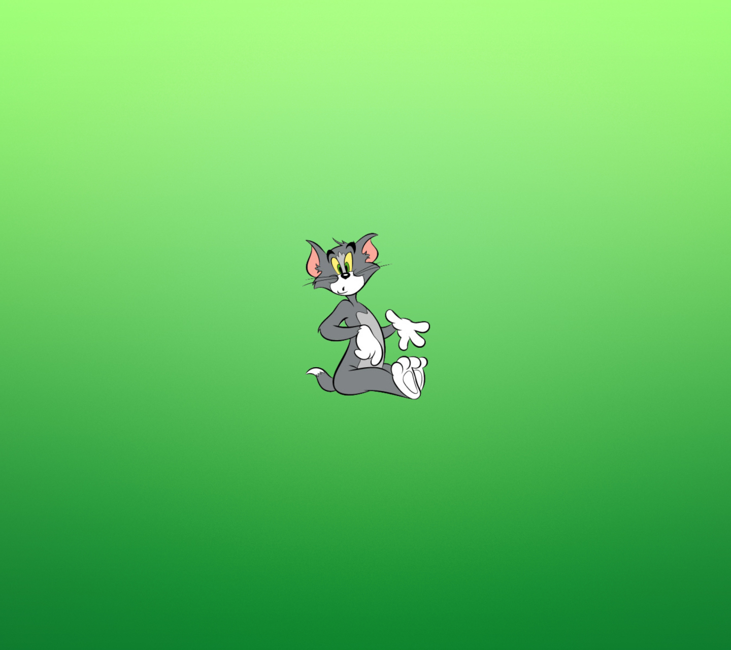 Tom & Jerry wallpaper 1440x1280