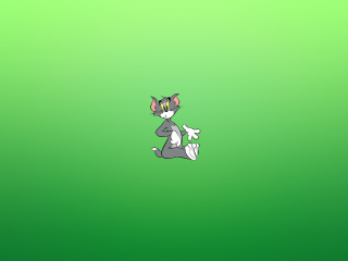 Screenshot №1 pro téma Tom & Jerry 320x240