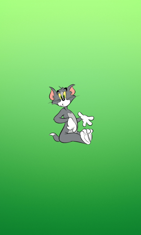 Fondo de pantalla Tom & Jerry 480x800