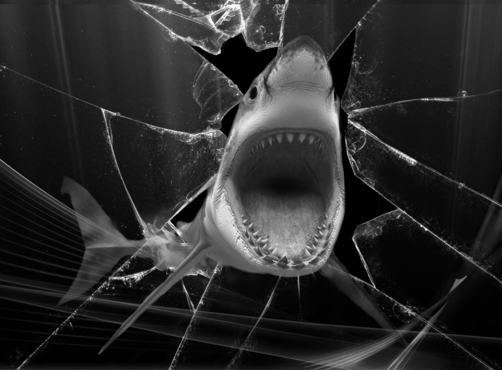 Screenshot №1 pro téma Shark