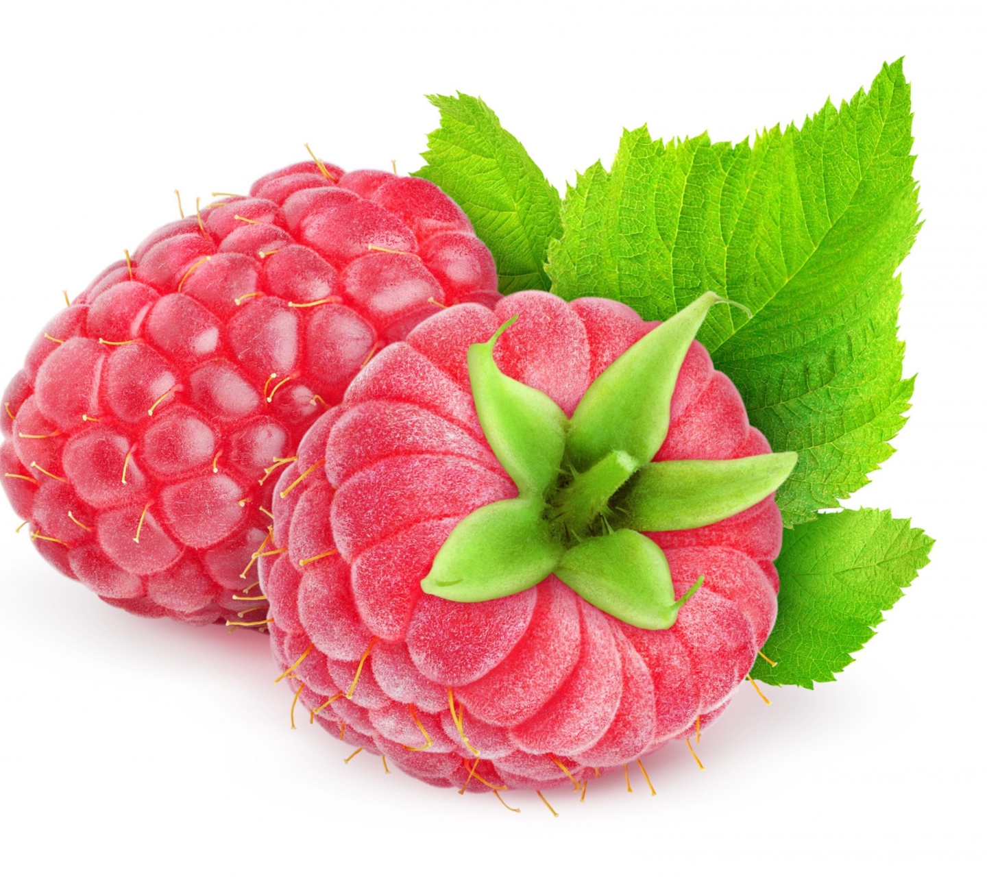 Fondo de pantalla Raspberries 1440x1280