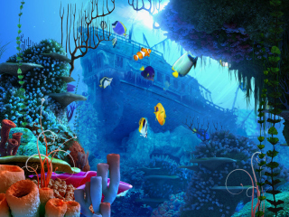 Das Aquarium Coral Wallpaper 320x240
