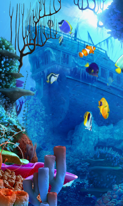 Fondo de pantalla Aquarium Coral 480x800