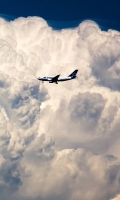 Screenshot №1 pro téma Plane In The Clouds 240x400