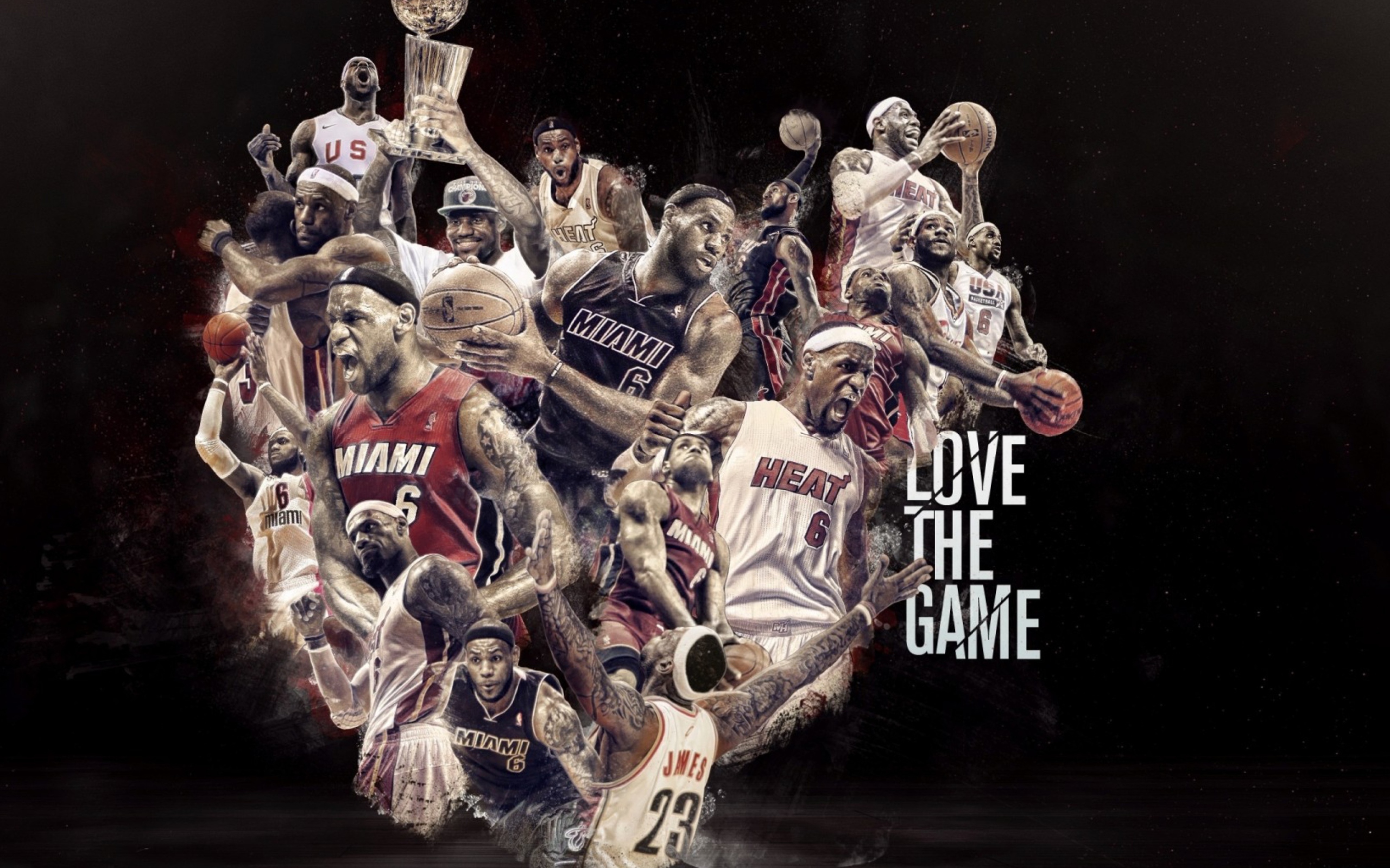 NBA, Basketball, Miami wallpaper 2560x1600