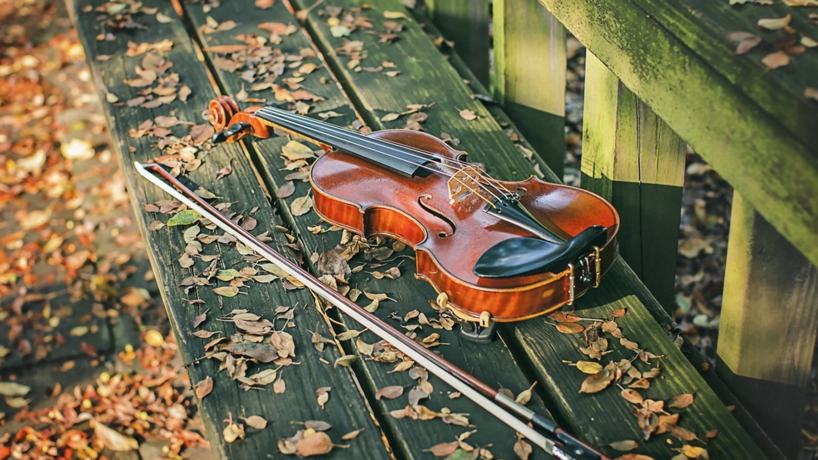 Violin on bench wallpaper 1600x900