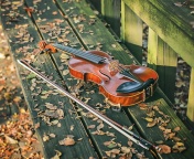 Das Violin on bench Wallpaper 176x144