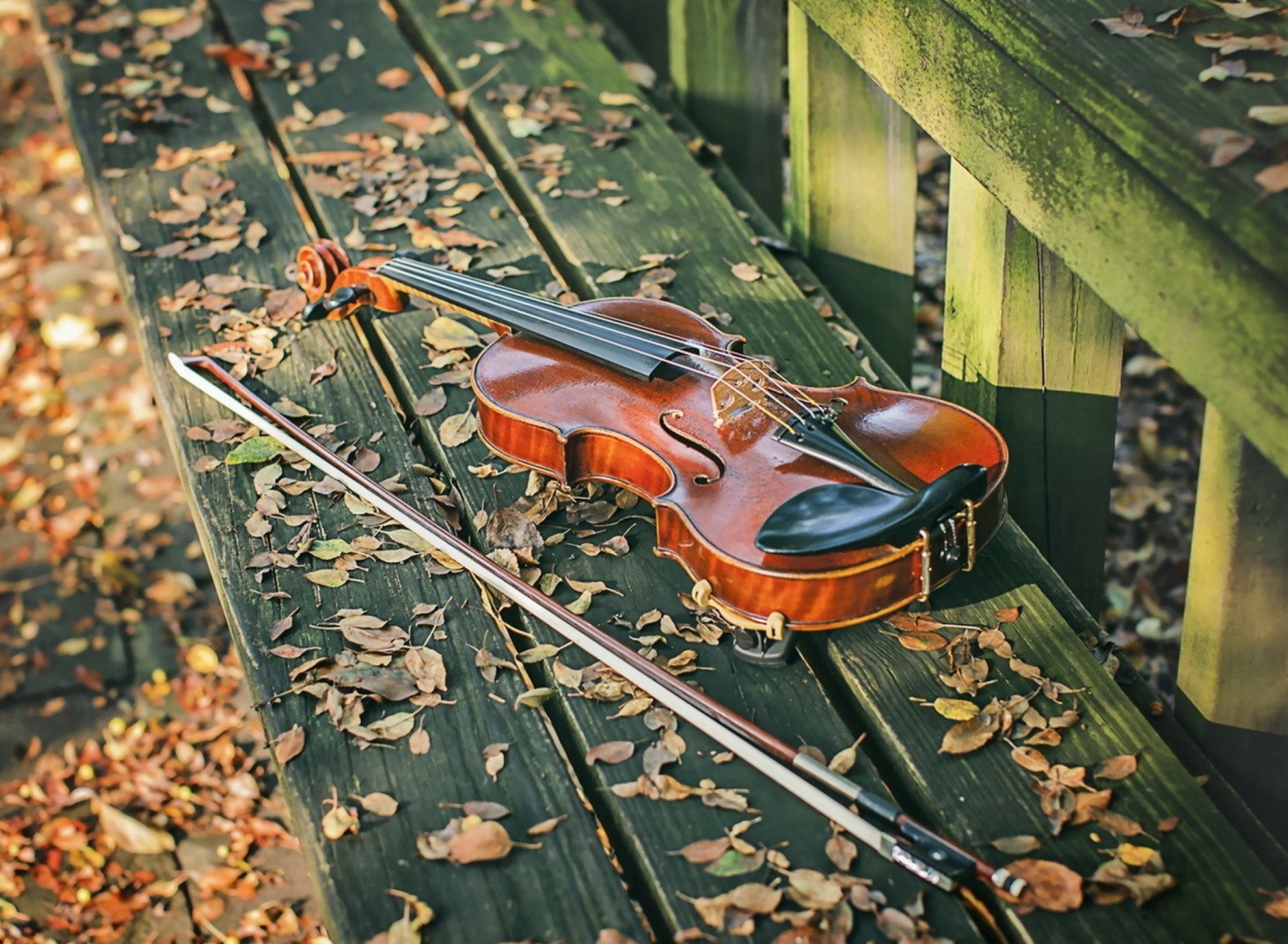 Violin on bench wallpaper 1920x1408