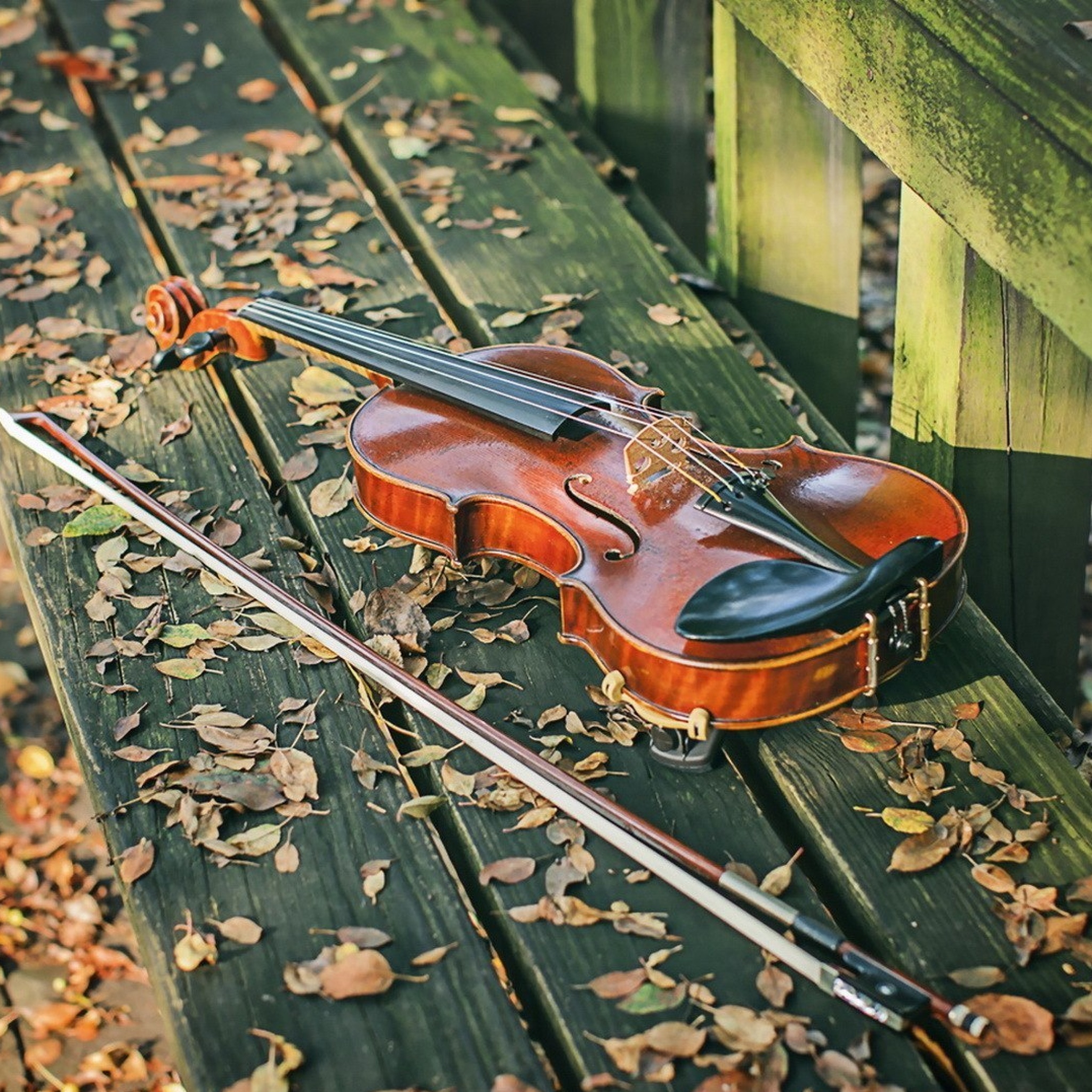 Das Violin on bench Wallpaper 2048x2048