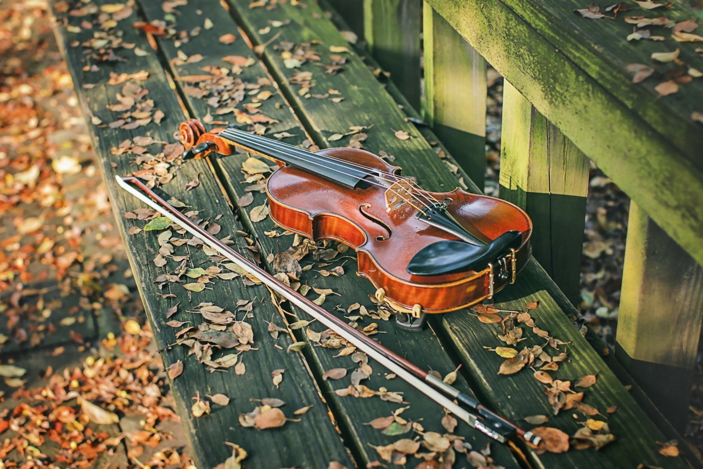 Violin on bench wallpaper 2880x1920