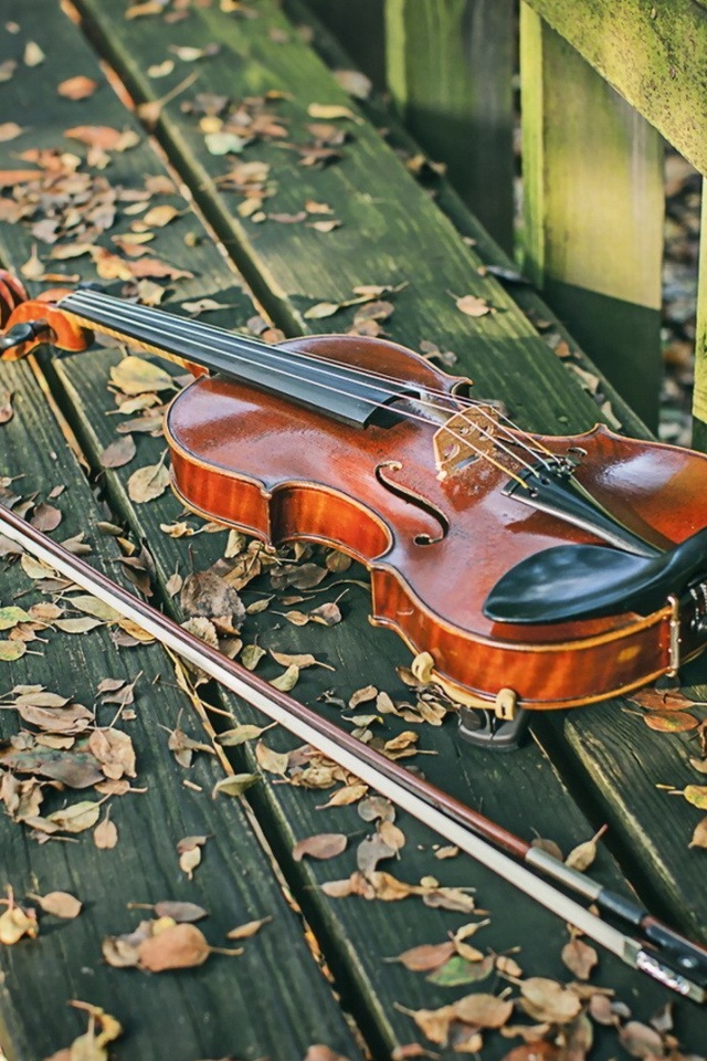 Violin on bench wallpaper 640x960