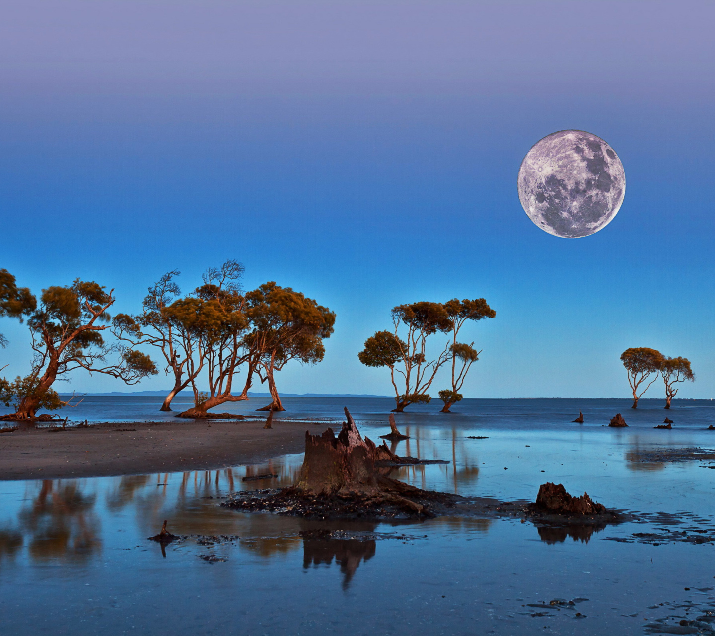 Screenshot №1 pro téma Moon Landscape in Namibia Safari 1440x1280