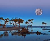 Screenshot №1 pro téma Moon Landscape in Namibia Safari 176x144