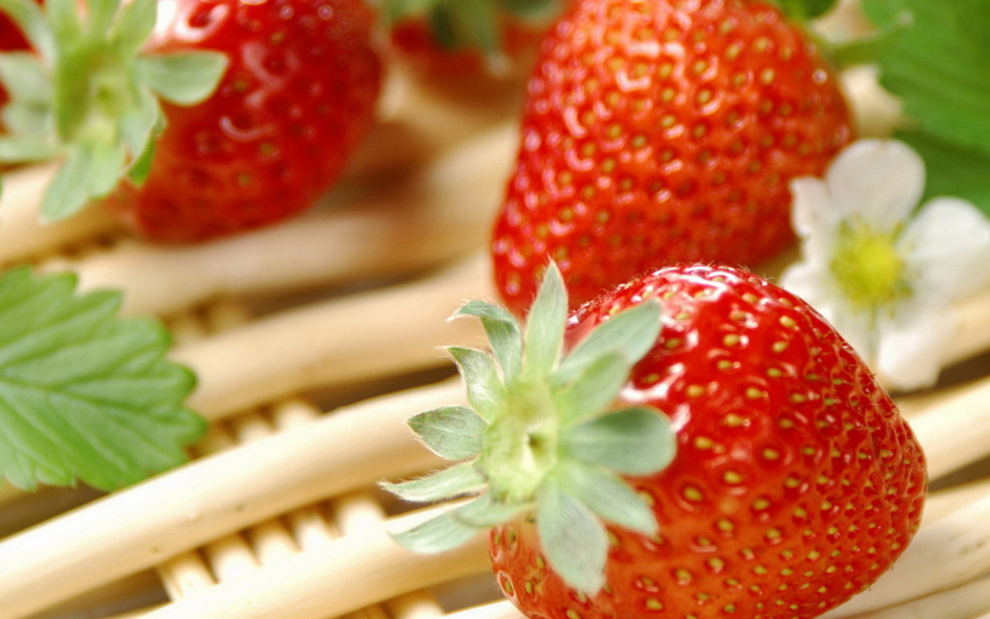 Strawberry Summer screenshot #1 1440x900