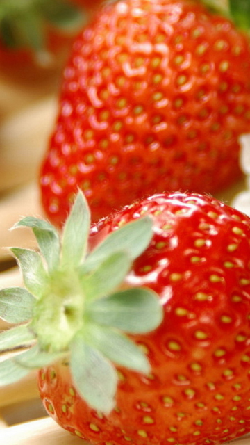 Обои Strawberry Summer 360x640