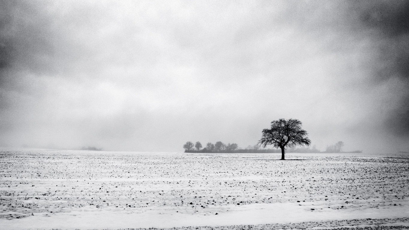 Black And White Winter screenshot #1 1366x768